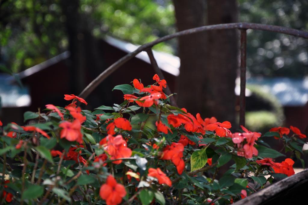 Estancia Don Silvano Hostal Diego Gaynor Exterior foto
