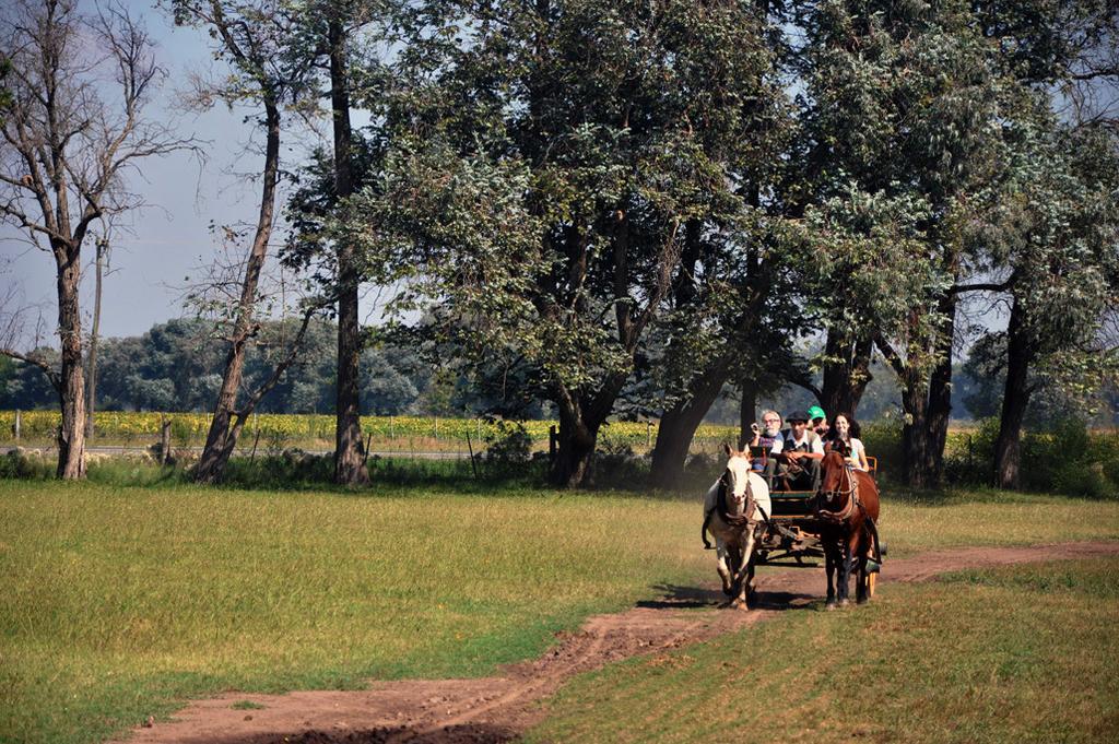 Estancia Don Silvano Hostal Diego Gaynor Exterior foto